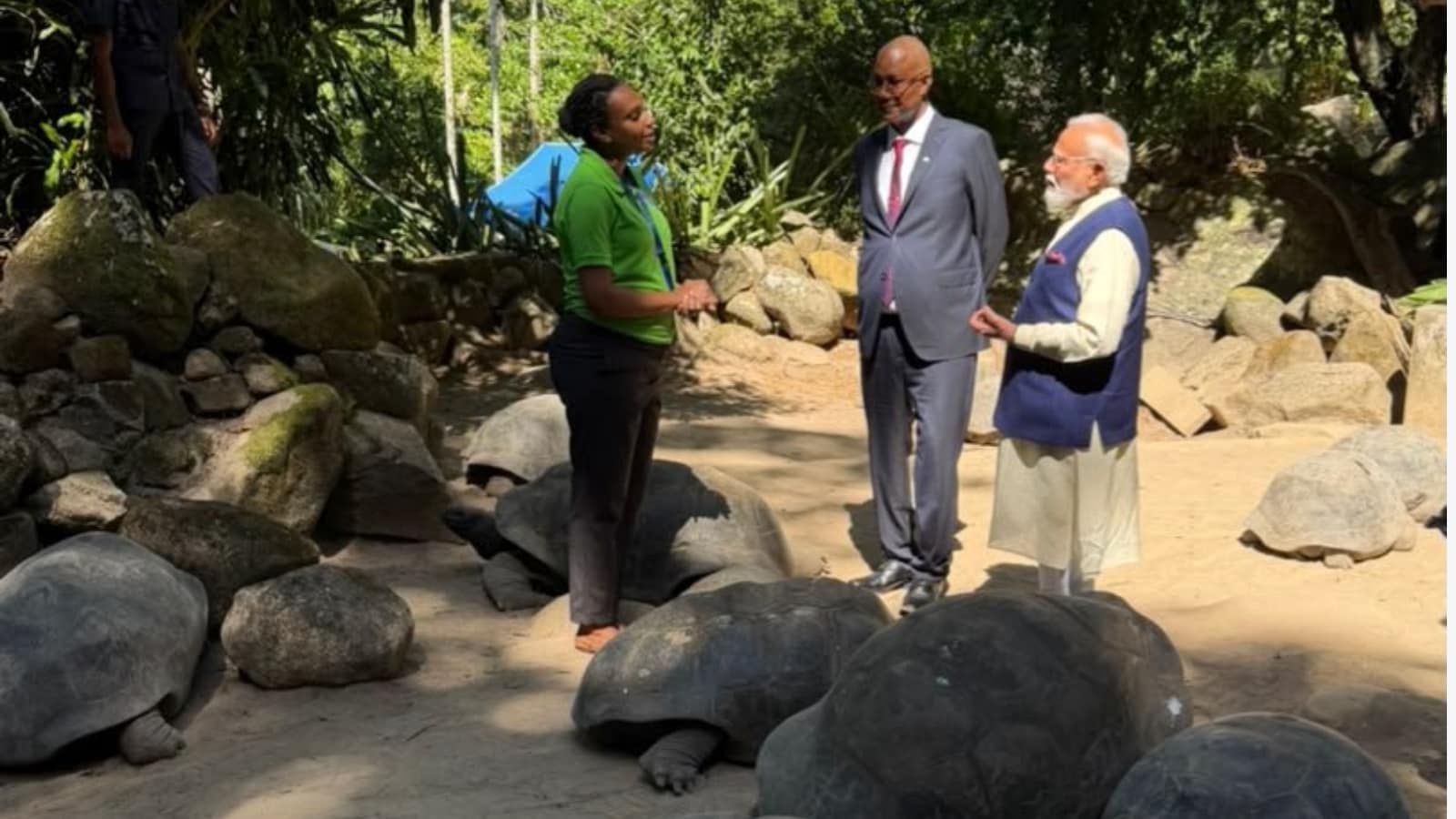 पंतप्रधान मोदी यांनी सांगितले की, 'कोको डी मेर' हे सेशेल्सचे राष्ट्रीय वैशिष्ट्य मानले जाते. या वृक्षाला तेथील नागरिक अत्यंत सन्मानाने पाहतात आणि सेशेल्सच्या कोट ऑफ आर्म्सवरही त्याचे चित्र अंकित करण्यात आले आहे. या वृक्षाची सर्वात मोठी वैशिष्ट्ये म्हणजे त्याची जगातील सर्वात मोठी बियाणे आणि सर्वाधिक वजनाची फळे. त्यामुळे सेशेल्समध्ये या वृक्षाला विशेष महत्त्व आहे.