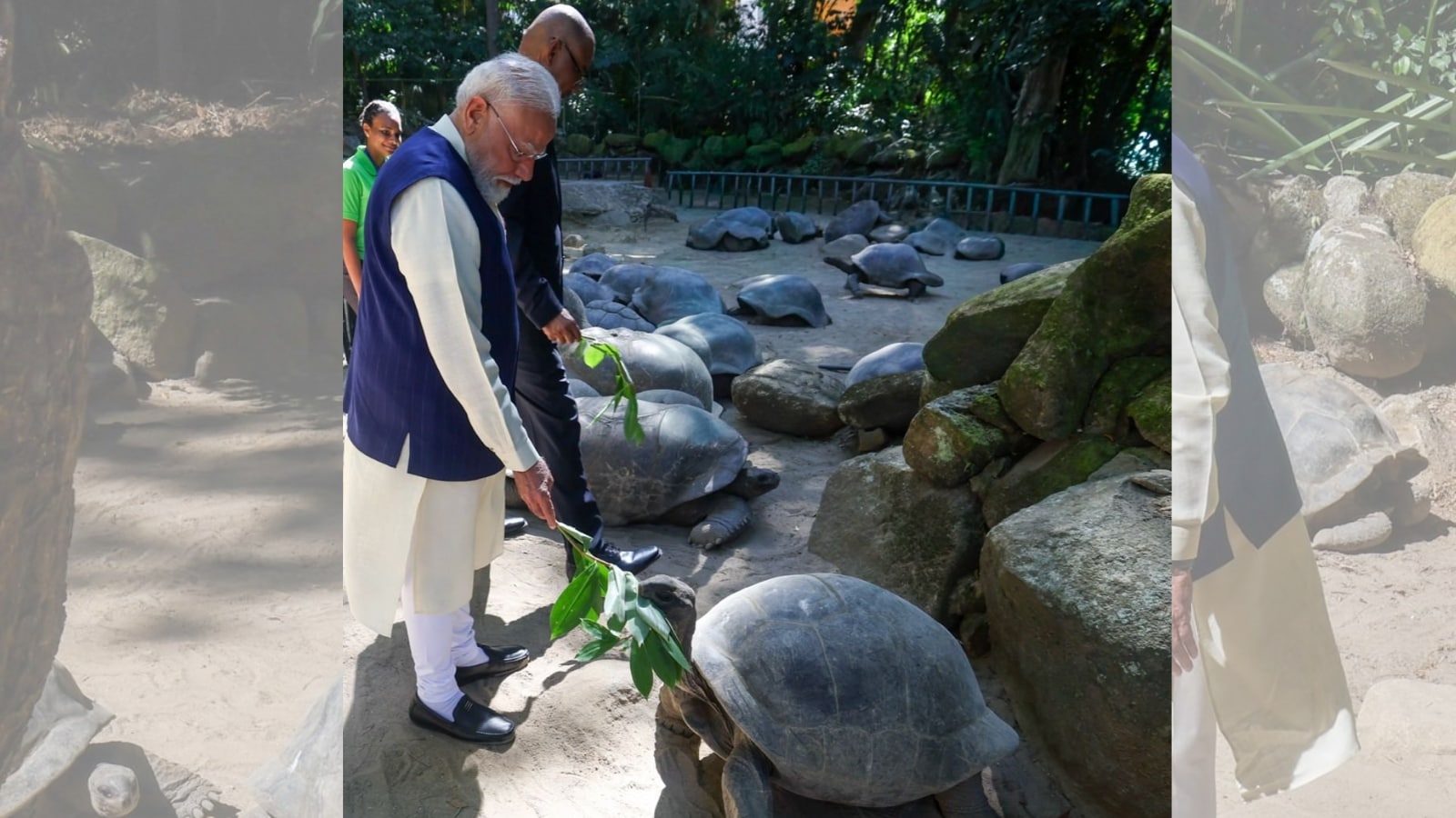 मोदी यांनी नमूद केले की, अल्डाब्रा जायंट कासवांचा भारत आणि सेशेल्स यांच्यातील मैत्रीशीही विशेष संबंध आहे. 2014 मध्ये सेशेल्सने अशाच दोन विशाल कासवांची भेट कोलकात्यातील अलिपूर प्राणीसंग्रहालयाला दिली होती. त्यानंतर काही वर्षांनी सेशेल्सने हैदराबाद प्राणीसंग्रहालयालाही आणखी काही अल्डाब्रा जायंट कासव भेट म्हणून दिले होते.