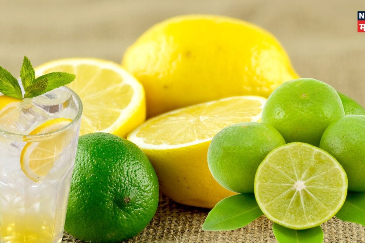 Lemon vs Lime : पिवळं धम्मक की हिरवा कोणतं लिंबू चांगलं, दोघांमध्ये काय फरक?