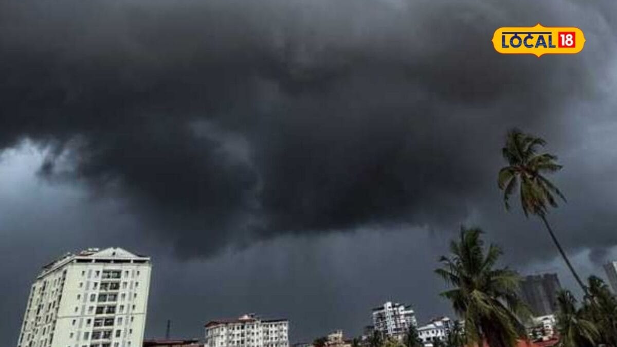महाराष्ट्रात 8 जिल्ह्यांना पावसाचा अलर्ट