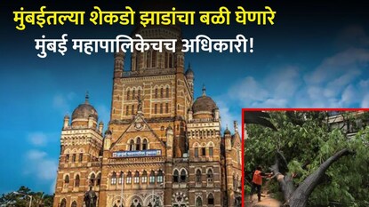मुंबई महापालिका