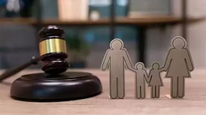 मुलांना जन्माने मिळत नाही आई-वडिलांच्या संपत्तीवर अधिकार, 4 कारणांमुळे होऊ शकतात बेदखल! मुलांना जन्माने मिळत नाही आई-वडिलांच्या संपत्तीवर अधिकार, 4 कारणांमुळे होऊ शकतात बेदखल!