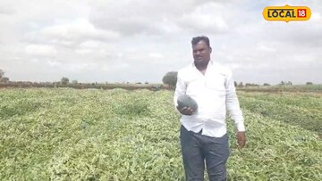 News18