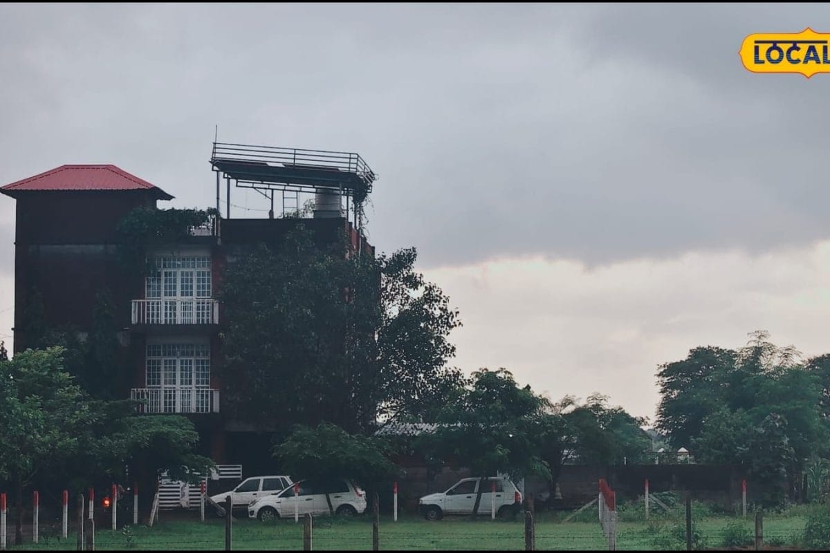 Media 1