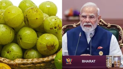 Modi Highlights Amla's Power in 'Mann Ki Baat': How Much Amla for Immunity?