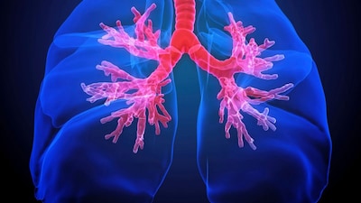 World Lung Day: Understanding Major Threats to Lung Health and Their Importance