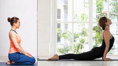 Stay Fit This Festive Season: Simple Yoga Poses for Flexibility in Less Time