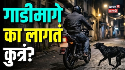 धावत्या गाडीमागेच का लागतं कुत्रं? 90% लोकांना माहीतच नाही कारण