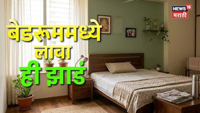 चिडचिड, भांडण आणि तासंतास झोपच लागत नाही? बेडरूममध्ये लावा ही 7 झाडं!