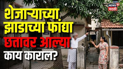 शेजाऱ्याच्या झाडाच्या फांद्या तुमच्या छतावर; सांगूनही छाटात नाहीय झाड? वाद घालूच नका कर ही एक गोष्ट
