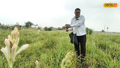 Solapur Farmer's Feat: 2 Lakh Net Profit from Tuberose Cultivation in Just 10 Gunthas