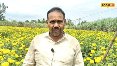 Solapur Farmer Cultivates Marigolds, Earns Lakhs Breaking Traditional Crop Cycle!