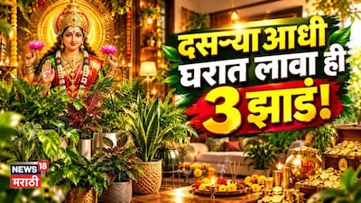 दसऱ्याचं सोनं लुटायच्या आधी घरात लावा ही झाडं! वर्षभर होईल भरभराट अन् खेळता राहील पैसा