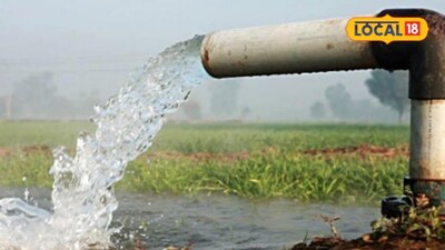 Need Water for Rabi Season? Farmers Must Apply on Time or Face Crop Loss