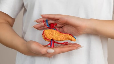 Understanding the Vital Role of the Pancreas in Digestion and Blood Sugar Control