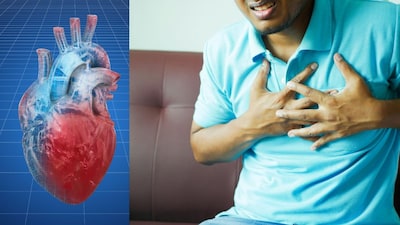 Heart Health: Crucial Tips and Guidelines to Prevent Heart Disease
