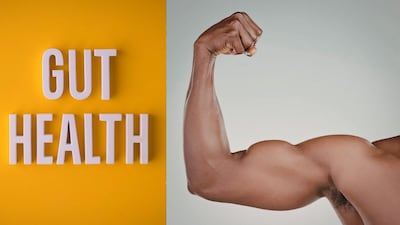 Strong Muscles Require Good Gut Health: Understand The Connection And New Research