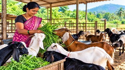 Goat brought from maternal home changed Reena's life, earning lakhs in 4 years