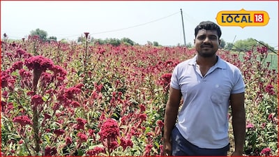 नोकरीचा नाद सोडला अन् पैशाचा फॉर्म्युला शोधला, 12 गुंठे शेतीत लाखात कमाई, पंढरपूरच्या शेतकऱ्यानं काय केलं?