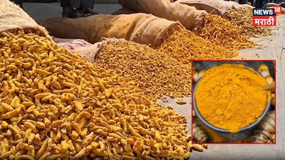 Turmeric Reaches Record Highs in Maharashtra Market