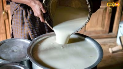 पुण्यात भेसळयुक्त दूध (प्रतिकात्मक फोटो) 