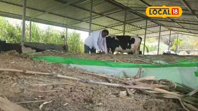 Farmer invests 7 thousand in vermicompost success story, earns one and a half lakh per month