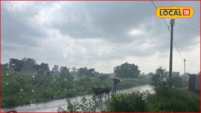 Weather Alert: वारे वाहणार, विजा कडाडणार, दसऱ्याआधीच धो धो कोसळणार, महाराष्ट्रातील 12 जिल्ह्यांना पावसाचा अलर्ट