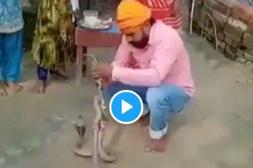 ସାପକୁ ରାଖି ପିନ୍ଧାଉଥିବା ଭିଡିଓରୁ ଏକ ଦୃଶ୍ୟ