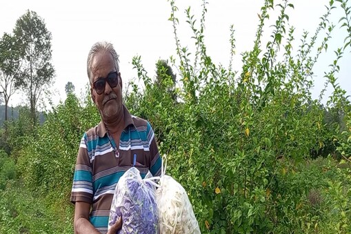 ମୋଟର ମେକାନିକରୁ ଫୁଲ ଚାଷୀ ହୋଇ ସମସ୍ତଙ୍କ ପାଇଁ ଉଦାହରଣ ସାଜିଛନ୍ତି (ପ୍ରତୀକାତ୍ମକ ଛବି)
