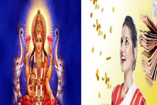 ଘରେ ଏହି ଗଛ ଲଗାଇଲେ ଧନ ଆସିବ (ପ୍ରତୀକାତ୍ମକ ଛବି)