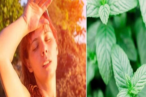 ଗରମ ଦିନ କାହିଁକି ଖାଇବେ ପୁଦିନା ପତ୍ର? ଜାଣନ୍ତୁ