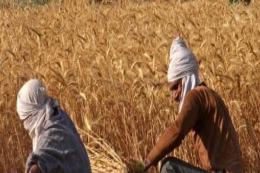 ଚାଷୀଙ୍କୁ ମିଳିନି ୨୦୨୧ ଖରିପ ଋତୁ ଫସଲ ବୀମା; ୧୪.୨୭ ଲକ୍ଷ କୃଷକ ବୀମା ପାଇବାରୁ ବଞ୍ଚିତ