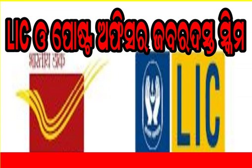 ବଢୁଛି LIC ଓ ପୋଷ୍ଟ ଅଫିସ୍ ସ୍କିମର ଚାହିଦା