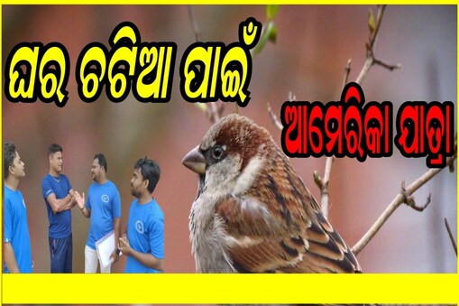 ଘର ଚଟିଆ ପାଇଁ ବ୍ରହ୍ମପୁରରୁ ଆମେରିକା ଯାତ୍ରା