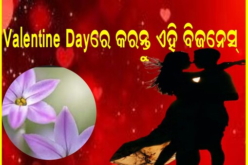 ଭାଲେଣ୍ଟାଇନ୍ସ ଡେ'ରେ କେବଳ ପ୍ରେମ ନୁହେଁ ଟଙ୍କା ବି ରୋଜଗାର କରନ୍ତୁ 