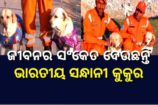 ଜୀବନର ସଂକେତ ଦେଉଛନ୍ତି ଭାରତୀ୍ୟ ସନ୍ଧାନୀ କୁକୁର