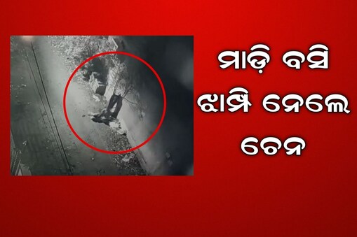 ଝାମ୍ପିଲେ ଲୁଟେରା