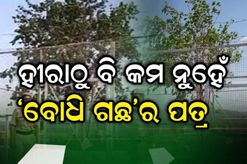 ଦିନରାତି ଜଗିଛନ୍ତି ପୋଲିସ