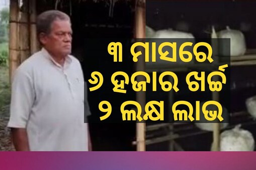 ଚାଷ କରି କମାଲ୍ କଲେ ୭୨ ବର୍ଷର କୃଷକ: ୬ହଜାର ଖର୍ଚ୍ଚ କରି ୩ ମାସରେ ୨ଲକ୍ଷ ଲାଭ