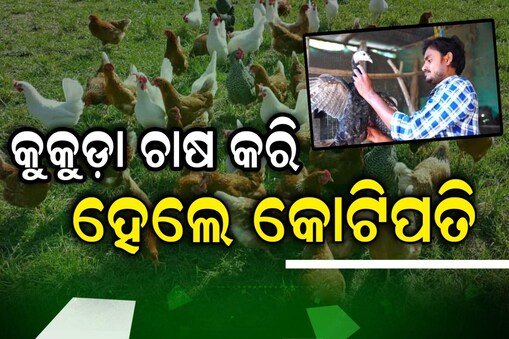 କୁକୁଡ଼ା ଚାଷ କରି ହେଲେ କୋଟିପତି; ଅନ୍ୟମାନଙ୍କୁ କରୁଛନ୍ତି ସ୍ବାବଲମ୍ବୀ