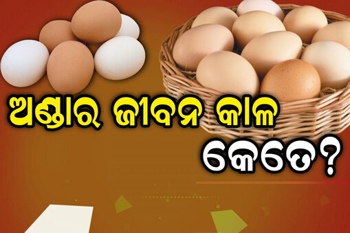 ଅଣ୍ଡାର Expiry Date କେତେ?