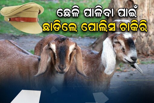 ପୋଲିସ ଚାକିରି ଛାଡି ପାଳିଲେ ଛେଳି: ସମ୍ପର୍କୀୟ କହିଲେ ମୁଣ୍ଡ ଖରାପ; କିନ୍ତୁ...