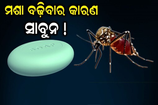 ଘରେ ଅଧିକ ମଶା ହେଉଛି କି ? ଆପଣଙ୍କ ସାବୁନ ହୋଇପାରେ କାରଣ !