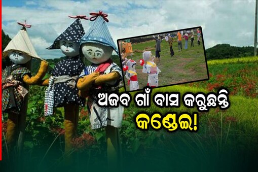 ଜାପାନର କଣ୍ଢେଇ ଗାଁ
