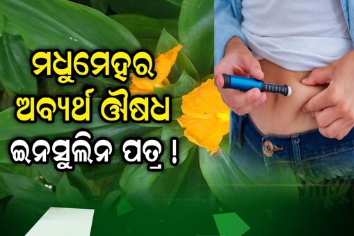 ଇନସୁଲିନ ପତ୍ର
