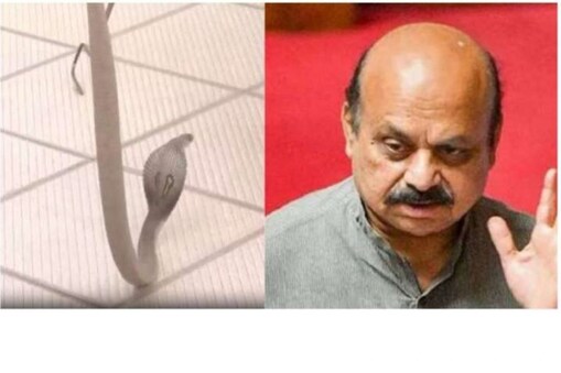 ବିଜେପି କାର୍ଯ୍ଯାଳୟରେ ନାଗ