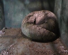 ମୟୂରଭଞ୍ଜରେ ବଜ୍ରକାପ୍ତା ଚୋ଼ରା ଚାଲାଣକାରୀ ସକ୍ରିୟ, ନେପାଳ ଓ ଚୀନ୍‌ ପଠାଉଛନ୍ତି