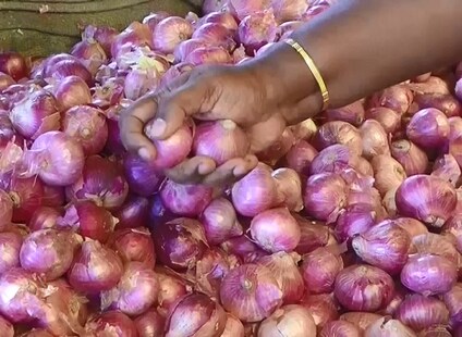 ପିଆଜ କାନ୍ଦଣା ସରିବ: ୧୫ ତାରିଖ ବେଳକୁ କିଲୋ ₹୪୦ ରୁ ₹୫୦ ଭିତରେ ମିଳିବ; ୨୦ ଆଡ଼କୁ ₹୨୦ ରେ ମିଳିବ