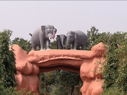 ଯାଜପୁରର ମାରଣା ଦନ୍ତା ହାତୀର ନୂଆ ଠିକଣା ଏବେ ଚ଼ନ୍ଦକା ଅଭୟାରଣ୍ୟ, ହେଲେ ସେଠିକା ଲୋକେ ବି ଆତଙ୍କିତ