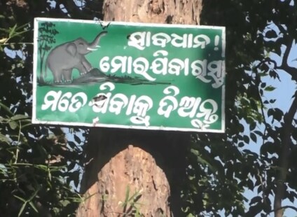 ବିଗତ ୧୦ ବର୍ଷରେ ରାଜ୍ୟରେ ବୃଦ୍ଧି ହୋଇନାହିଁ ହାତୀ ସଂଖ୍ୟା; ଚିନ୍ତା ପ୍ରକଟ କଲେ ପରିବେଶବିତମାନେ